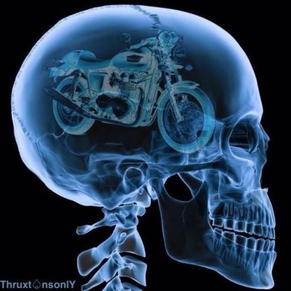 Meet your Posher, Bob - Picture 1 of 1